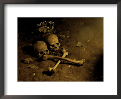 Skull And Cross Bones by Michael Brown Pricing Limited Edition Print image