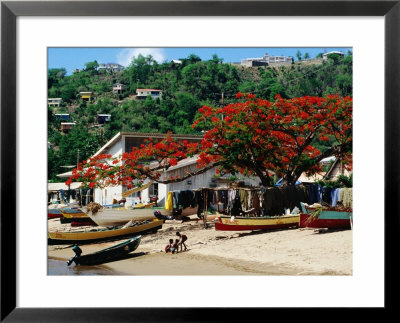 Beach With Flamboyant Tree On Anse La Raye, Anse La Raye by Holger Leue Pricing Limited Edition Print image