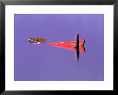 Red Boat In Water, Brasilia, Brazil by Silvestre Machado Pricing Limited Edition Print image