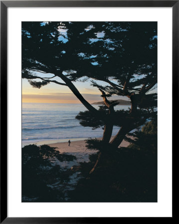 Sunset On Beach With Trees, Ca by Claire Rydell Pricing Limited Edition Print image