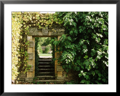 Arch Way In Ornamental Stone Wall With Fig & Vitis by Mark Bolton Pricing Limited Edition Print image