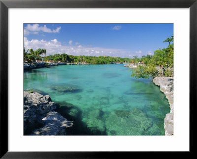 Xel-Ha Lagoon National Park, Yucatan Coast, Mexico, Central America by Gavin Hellier Pricing Limited Edition Print image