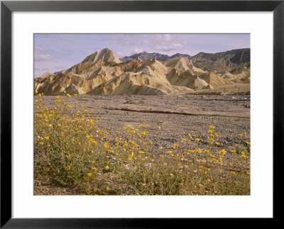 Zabriskie Point, Death Valley National Monument, California, Usa by Roy Rainford Pricing Limited Edition Print image
