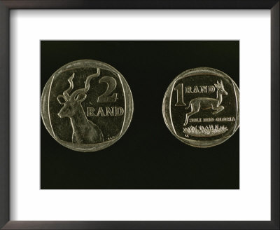 Indigenous Animals Are Featured On South Africas Rand Coins by Tino Soriano Pricing Limited Edition Print image