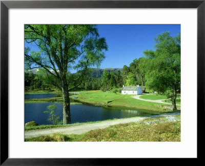 Glen Affric Nnr, Scotland by Iain Sarjeant Pricing Limited Edition Print image