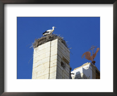 Stork Sitting On Nest On The Top Of Faro Cathedral, Faro, Algarve, Portugal by Marco Simoni Pricing Limited Edition Print image