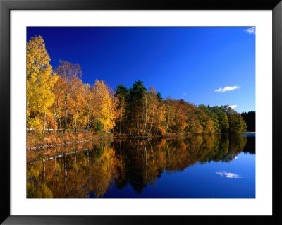 Autumn Lakeside Trees, Halland, Sweden by Anders Blomqvist Pricing Limited Edition Print image