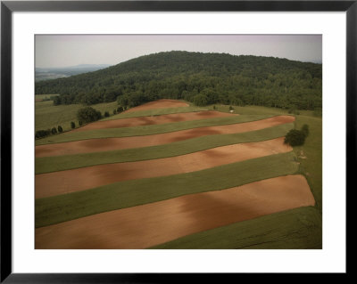 Cedar Mountain Bore Witness To Battle During The American Civil War by Sam Abell Pricing Limited Edition Print image