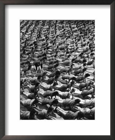 Coeds At The University Of New Hampshire Executing Front Fall Exercise On Gymnasium Floor by Alfred Eisenstaedt Pricing Limited Edition Print image