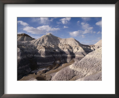 Blue Mesa, Petrified Forest National Park, Arizona, Usa by Charles Bowman Pricing Limited Edition Print image
