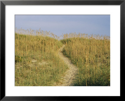 Path Through The Dunes by Stephen St. John Pricing Limited Edition Print image
