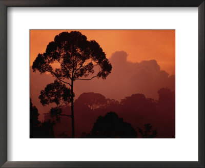 Sunset View by Darlyne A. Murawski Pricing Limited Edition Print image