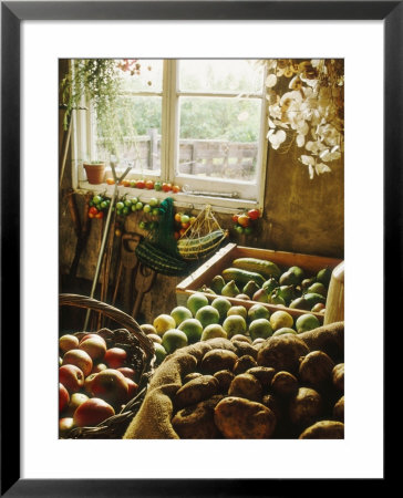 Shed With Storage For Fruit And Vegetables by Linda Burgess Pricing Limited Edition Print image