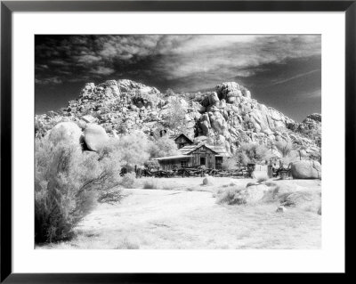 Desert Queen Ranch, Joshua Tree National Park, California, Usa by Janell Davidson Pricing Limited Edition Print image