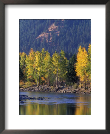 Autumn Color On The Methow River, Washington, Usa by William Sutton Pricing Limited Edition Print image