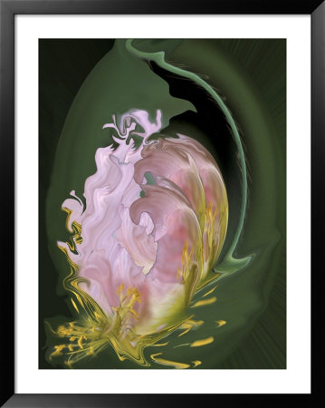 Abstract Flowers by Ellen Anon Pricing Limited Edition Print image