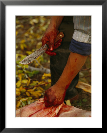 A Hunter Butchers A Bull Moose That Will Feed His Family by Raymond Gehman Pricing Limited Edition Print image
