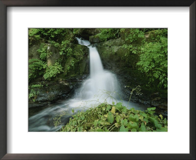 View Of A Small Waterfall Amid Lush Greenery by Raymond Gehman Pricing Limited Edition Print image