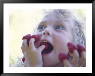 Girl Eating Raspberries, Bellingham, Washington, Usa by Steve Satushek Pricing Limited Edition Print image