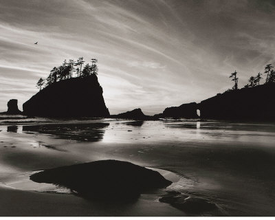 Low Tide Morning by Brett Aniballi Pricing Limited Edition Print image