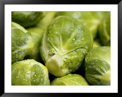 Brussel Sprouts, Freshly Washed by Susie Mccaffrey Pricing Limited Edition Print image