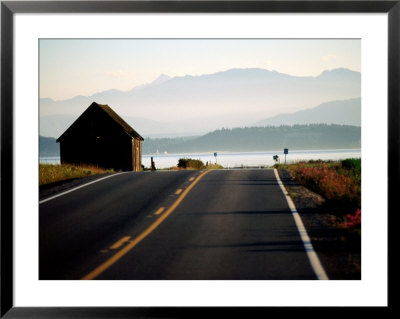 Ebey Road Near Ebey's Landing, Whidbey Island, Washington by John Elk Iii Pricing Limited Edition Print image