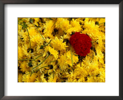 Basket Of Marigold Flowers, Coimbatore, Tamil Nadu, India by Daniel Boag Pricing Limited Edition Print image