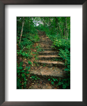 Hiking Trail Through Whitewater State Park,Whitewater State Park, Minnesota, Usa by John Elk Iii Pricing Limited Edition Print image