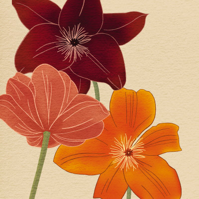 Terracotta Flower Burst by Kate Knight Pricing Limited Edition Print image