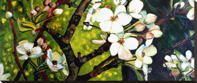 Blossom Rhapsody by Mary Mclorn Valle Pricing Limited Edition Print image