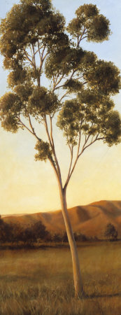 Lonely Eucalyptus I by Cory Steffen Pricing Limited Edition Print image