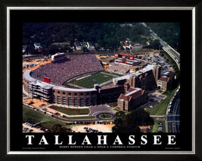 Florida State - Tallahassee, Fl by Brad Geller Pricing Limited Edition Print image