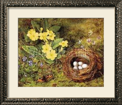 Primroses With A Bird's Nest by H. Barnard Grey Pricing Limited Edition Print image
