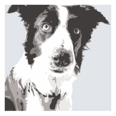 Collie by Emily Burrowes Pricing Limited Edition Print image