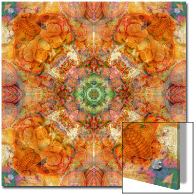 Colseaworld Mandala, No. 1 by Alaya Gadeh Pricing Limited Edition Print image