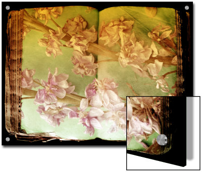 Book Of Flowers by Alaya Gadeh Pricing Limited Edition Print image