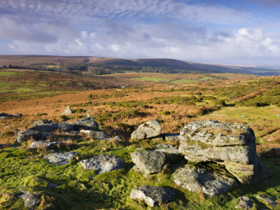 Granite Boulders On Hayne Down, Dartmoor National Park, Devon, England, United Kingdom, Europe by Adam Burton Pricing Limited Edition Print image