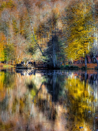 Autumn Colours by Nejdet Duzen Pricing Limited Edition Print image