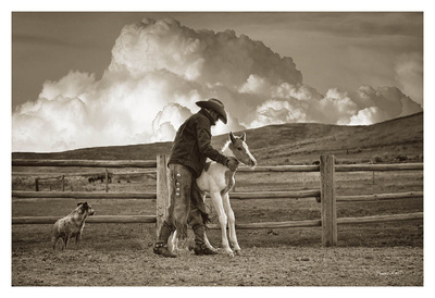 Lost N Found by Barry Hart Pricing Limited Edition Print image