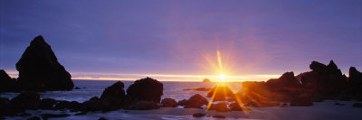 Glorious Sunset At Beach In California, Usa by Bob Cornelis Pricing Limited Edition Print image