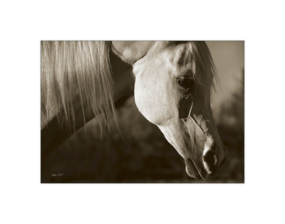 Lela’S Unicorn by Barry Hart Pricing Limited Edition Print image