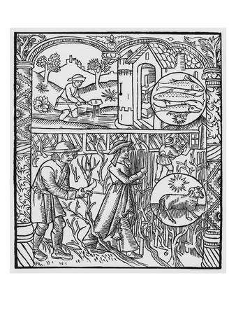 March, Fishing And Pruning Trees, Pisces, Illustration From The 'Almanach Des Bergers', 1491 by Pierre Le Rouge Pricing Limited Edition Print image