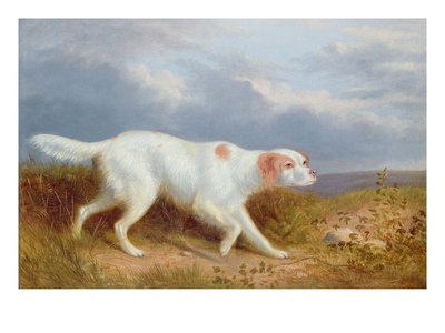 A Setter On The Moor by Philip Reinagle Pricing Limited Edition Print image