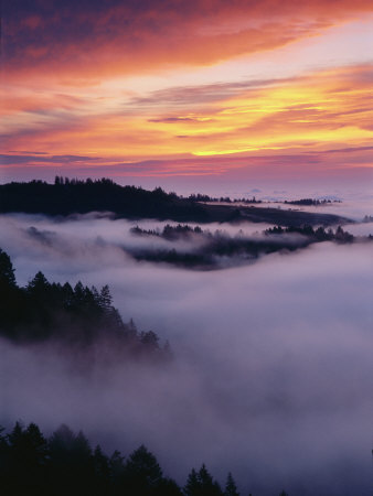 Sunrise In The Coleman Valley, California, Usa by Bob Cornelis Pricing Limited Edition Print image