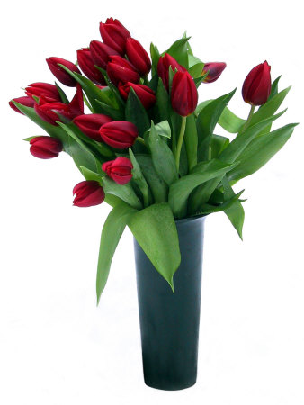 Red Tulips In Grey Vase by Ilona Wellmann Pricing Limited Edition Print image