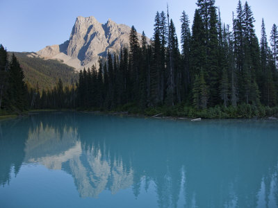 Mount Burgess Reflects In An Alpine Lake by Taylor S. Kennedy Pricing Limited Edition Print image