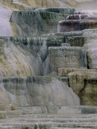 Terraces Of Travertine At Canary Spring by Tom Murphy Pricing Limited Edition Print image