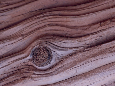 Close-View Of A Tree Knot by Tom Murphy Pricing Limited Edition Print image