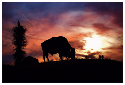 American West by Stephanie Laird Pricing Limited Edition Print image