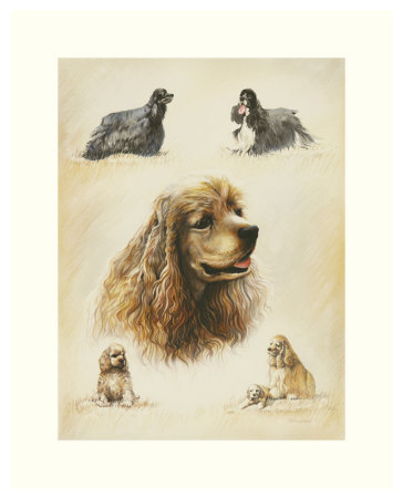 American Cocker by Libero Patrignani Pricing Limited Edition Print image